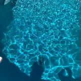 Tomao Platinum Pool Service & Repairs photo 7