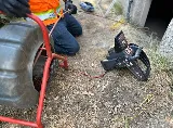 The Sewer Company photo 8