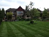 The Golden Shovel Landscape Ltd. photo 6