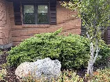 Green Salt Lake Landscaping photo 2