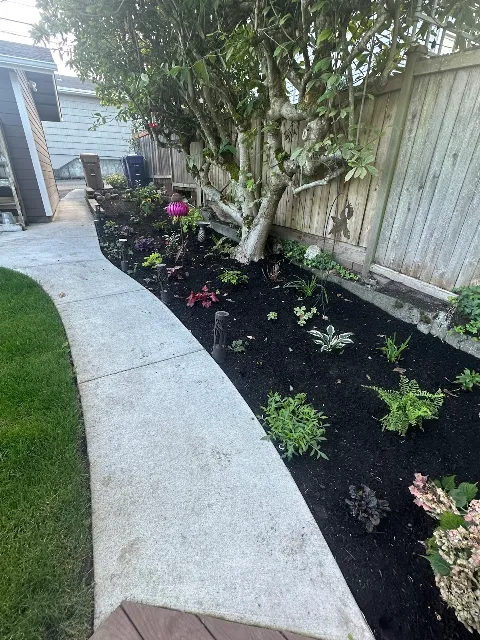 Alvin's Landscaping photo 1