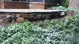 Anthony Miller Masonry photo 4