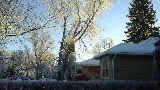 Hansen Electric photo 5