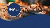 BUGWORKS Termite & Pest Control Company