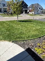 Green Horizons Lawn Care photo 2