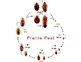 Prairie Pest Control Inc photo 5