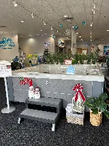 Magic City Hot Tubs photo 3