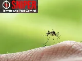 Sniper Termite and Pest Control Fort Worth photo 7