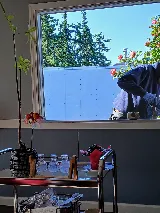 Ecoline Windows and Doors Kelowna photo 9