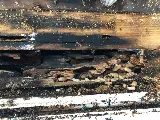 Karma Pest Solutions photo 8
