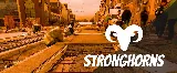 Stronghorns Concrete & Construction
