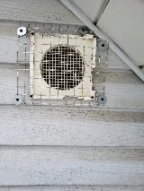 Acme Pest Solutions photo 3