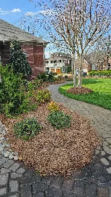Agronomic Lawn Management photo 6