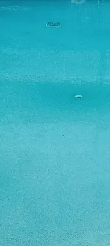 Premier Pools of Tallahassee photo 6