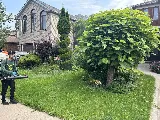 Mosquito Man Windsor photo 8
