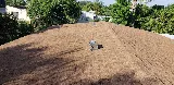 Rick's Roofing and Repairs Inc. photo 7