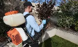 EcoShield Pest Solutions photo 6
