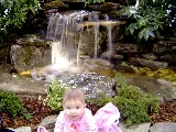 All Natural Streams Landscaping photo 8