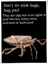 JC PEST CONTROL LLC photo 3