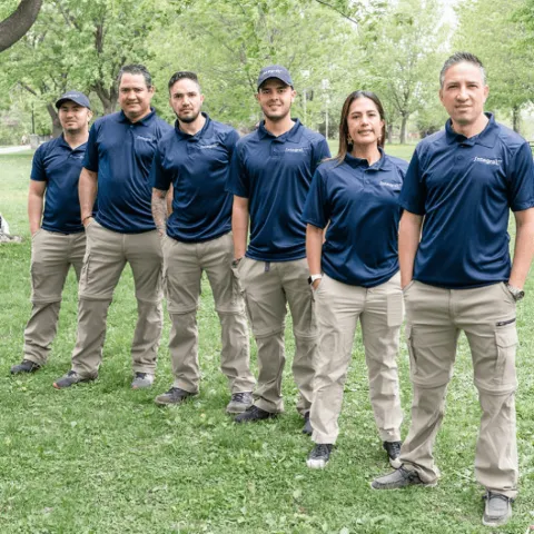 Integral XT Pest Control South Shore photo 1