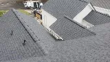 Alpha Roofing Services