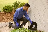 PURCOR Pest Solutions photo 4