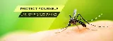 Barefoot Mosquito & Pest Control