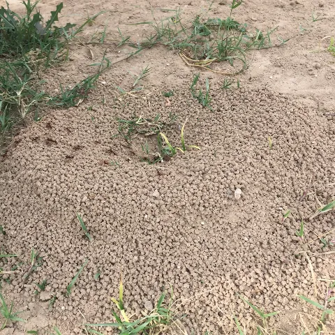 J D's Pest Control photo 1