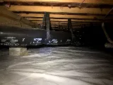 BACK BAY PEST & MOSQUITO photo 6