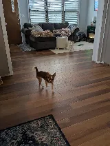 Creative Carpets photo 7