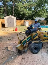 Lawn & Garden Landscaping photo 3
