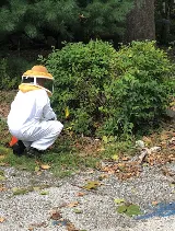 Pointe Pest Control - Swansea photo 4