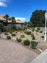 Desert Palms Landscaping photo 4