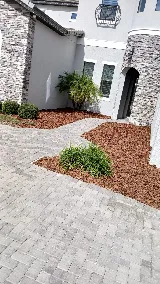 Jose & Jose Landscaping LLC photo 6