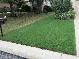 Greener Texas Pest and Lawn Services photo 8