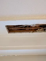 Captain Plumber photo 10