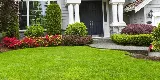 Lush Lawn and Landscaping