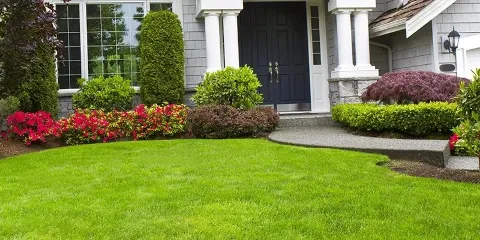 Lush Lawn and Landscaping in Lubbock
