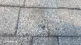 Dana Dean Roofing Company photo 8
