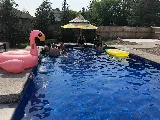 Perciballi Pools & Spas photo 5