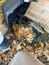 Haven Pest Solutions photo 3