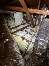 The No-Nonsense Termite Company photo 3