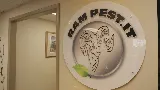 RAM Pest Management photo 8