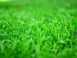 Tidewater Landscape Management Inc photo 7