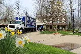 Blue Men Moving