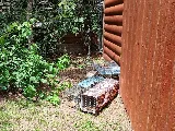 307 Pest, LLC photo 4