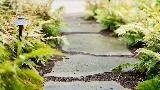 Carolina Landscape Inc