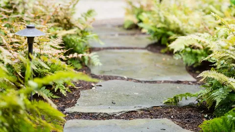 Carolina Landscape Inc photo 1