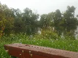 Century Mill Lumber photo 3