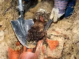 Frank’s Repair Plumbing Inc. photo 5